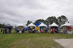 Service members and their families enjoy the food and outdoor activities at the Joint Base Charleston Picnic May 4, 2013. The base picnic was a free two-day event which included free food, drinks and a live band for all Team Charleston members and their families to enjoy. (U.S. Air Force photo/Senior Airman Bobby Pilch)