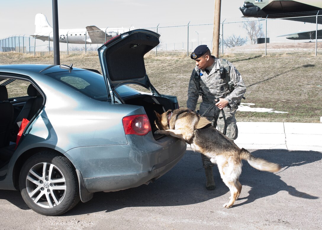 Staff Sgt. Michael Gwin, 28th Security Forces Squadron military working dog handler, directs his dog, Rex, to search the truck of a car during a random vehicle inspection on Ellsworth Air Force Base, S.D., April 25, 2013. 28th SFS members conduct random vehicle inspections to ensure illegal substances. (U.S. Air Force photo by Airman 1st Class Alystria Maurer/Released)  