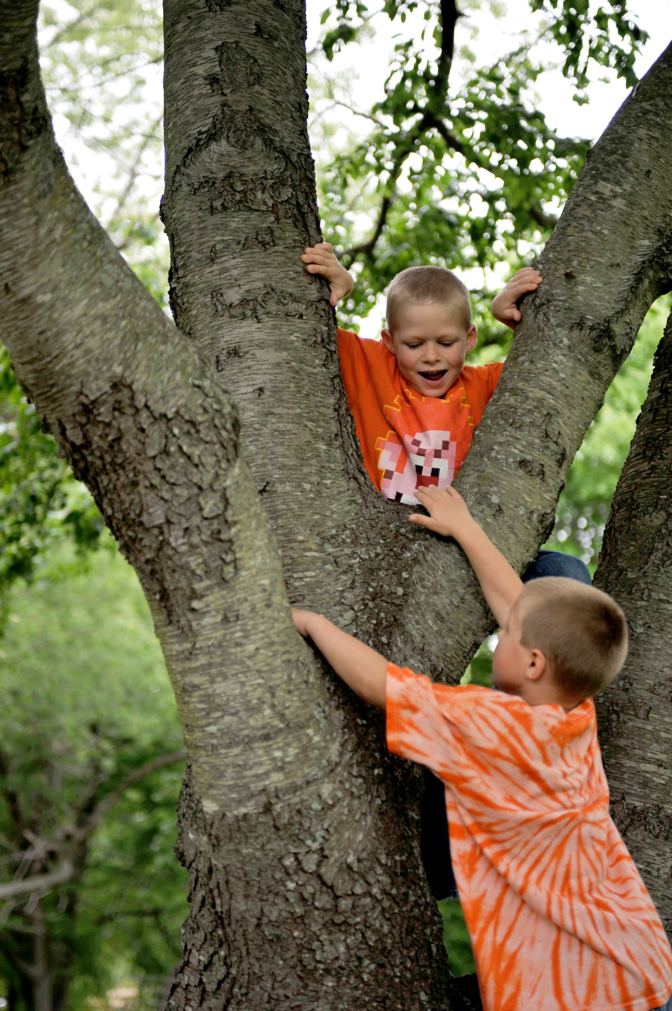 Kevin and Nick Seeger, sons of Staff Sgt. Heather Seeger, 1st Maintenance Operations Squadron noncommissioned officer in charge of production analysis, climb a tree during a family trip to Bluebird Gap Farm in Hampton, Va., May 5, 2013. As a mother of six children, two with special needs, Seeger devotes every effort to creating lasting memories which keep her family strong during her husband’s deployment.  (U.S. Air Force photo by Staff Sgt. Katie Gar Ward/Released)