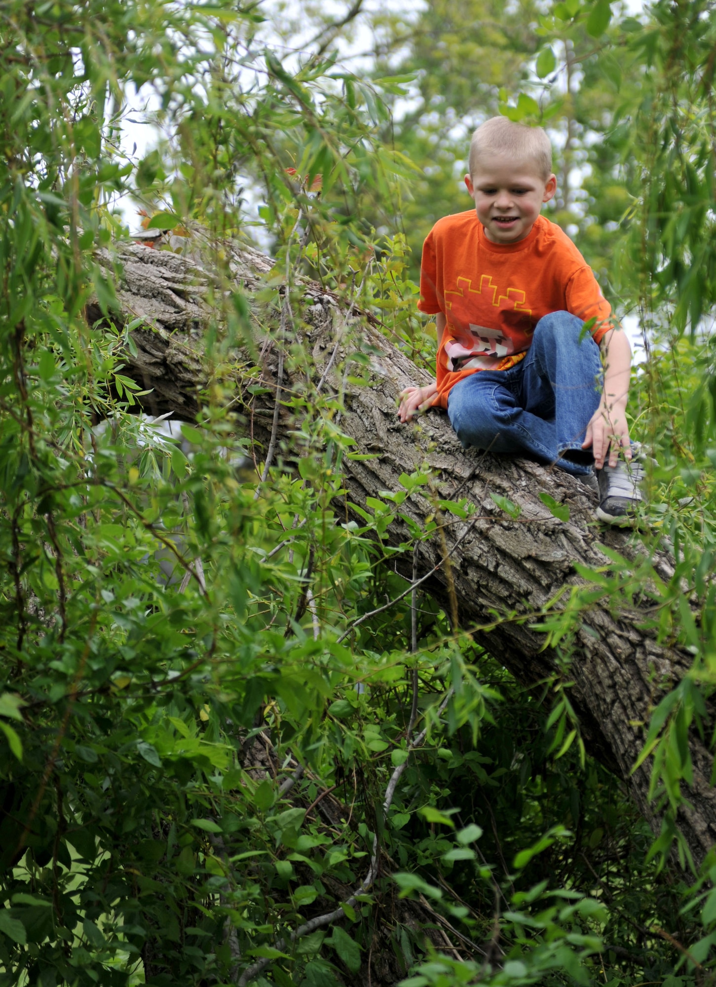 Kevin Seeger, son of Staff Sgt. Heather Seeger, 1st Maintenance Operations Squadron noncommissioned officer in charge of production analysis, climbs a tree during a family trip to Bluebird Gap Farm in Hampton, Va., May 5, 2013. Kevin is one of six children in the Seeger family. (U.S. Air Force photo by Staff Sgt. Katie Gar Ward/Released)