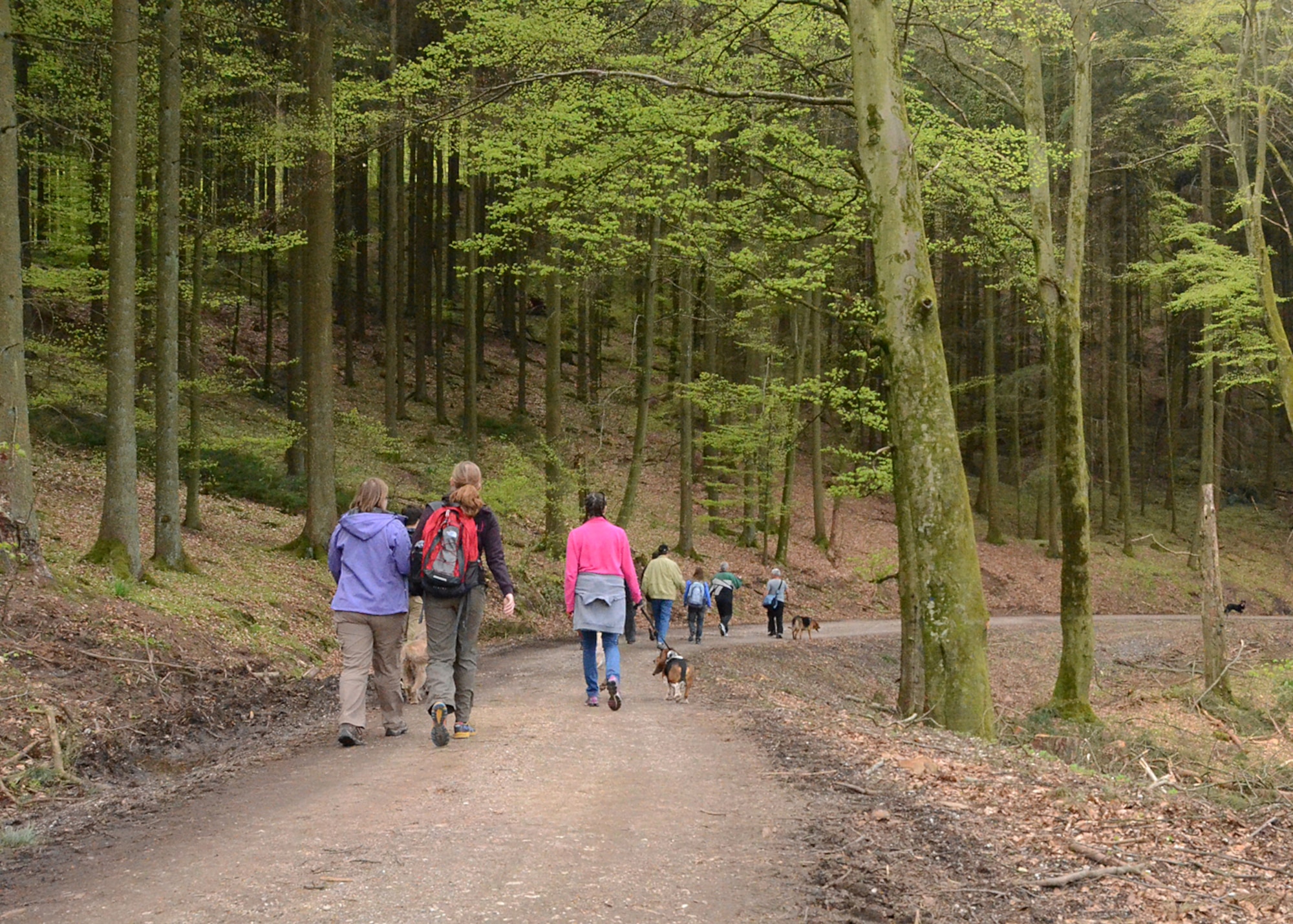 SPANGDAHLEM AIR BASE, Germany – More than 30 members of Spangdahlem AB and the German community hiked from the base’s main gate through the woods to Himmerod Abbey, a local monastery, May 3, 2013. The Explore the Eifel hike was sponsored by the German Host Nation Council and included lunch at a midway point in the forest. Explore the Eifel is a community-sponsored event in the spirit of building relationships between the United States and Germany. (U.S. Air Force photo by Staff Sgt. Daryl Knee/Released)