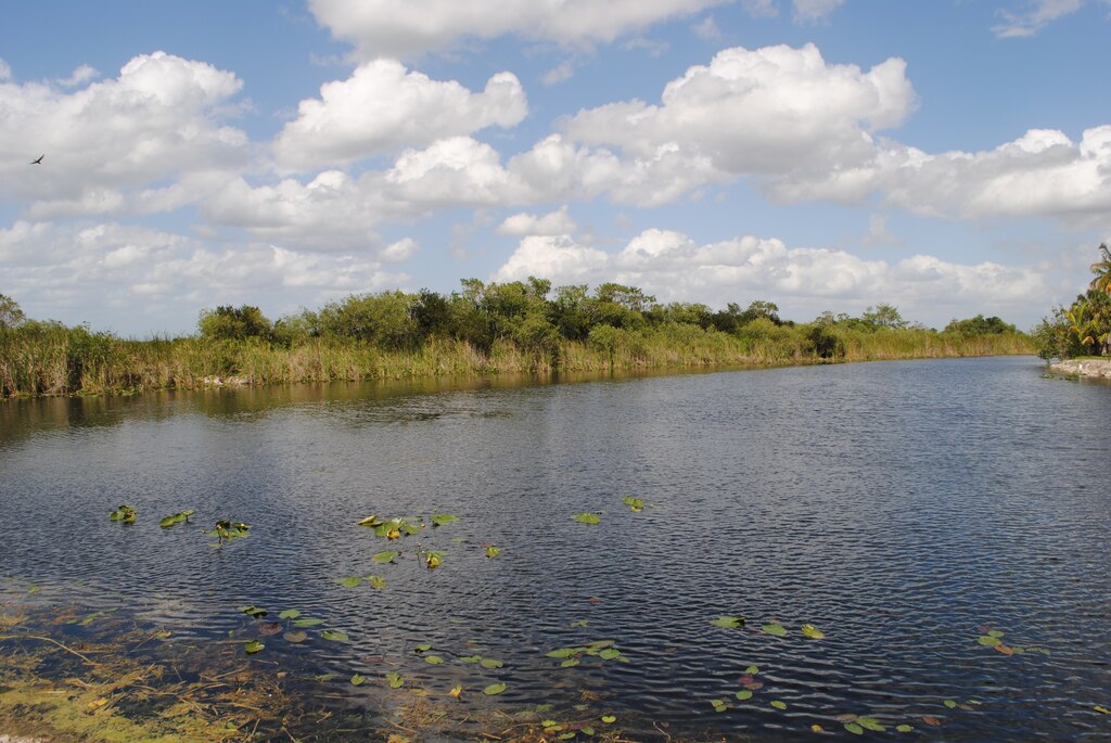Water Conservation Area #3 near the Tamiami Trail in late April.  How to handle this water during extreme wet weather events was the topic of a meeting held with multiple state and federal agencies in preparation for the upcoming wet season. 