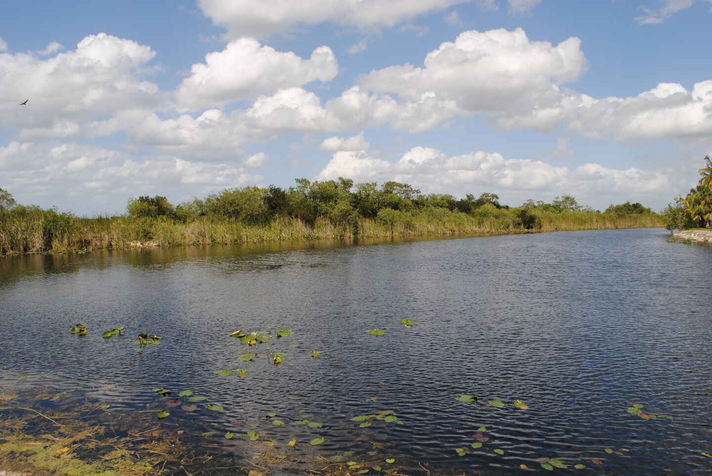Water Conservation Area #3 near the Tamiami Trail in late April.  How to handle this water during extreme wet weather events was the topic of a meeting held with multiple state and federal agencies in preparation for the upcoming wet season. 