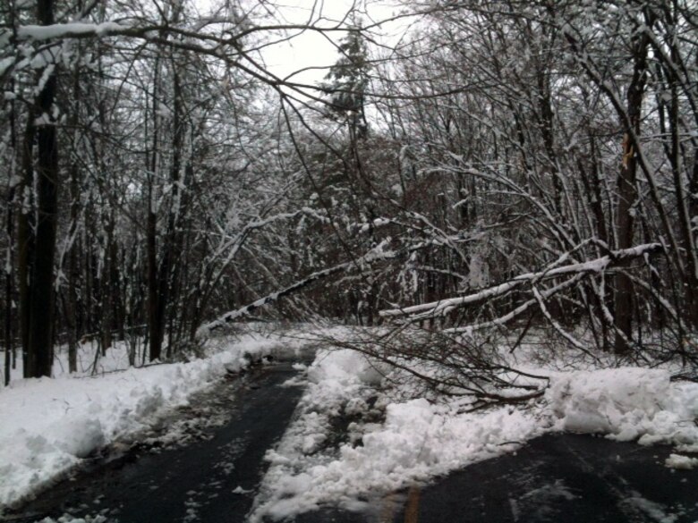 Heavy snow the last week of April and first week of May resulted in excessive tree damage, prompting the Corps of close the Highland Ridge Campground at the Eau Galle Dam and Recreation Site, located in Spring Valley, Wis.