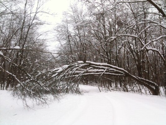Heavy snow the last week of April and first week of May resulted in excessive tree damage, prompting the Corps of close the Highland Ridge Campground at the Eau Galle Dam and Recreation Site, located in Spring Valley, Wis.