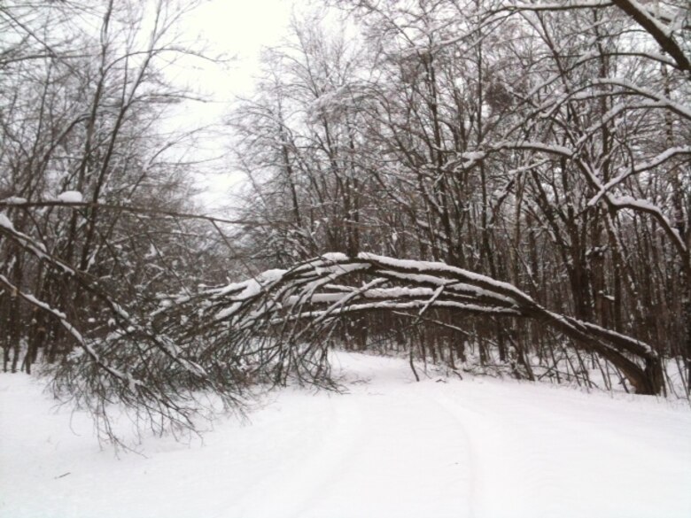 Heavy snow the last week of April and first week of May resulted in excessive tree damage, prompting the Corps of close the Highland Ridge Campground at the Eau Galle Dam and Recreation Site, located in Spring Valley, Wis.