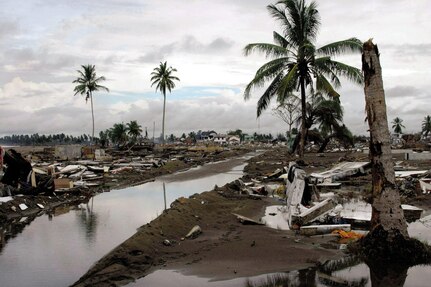 Tsunami brought in killer waves, death and destruction. It also clawed at the hearts and minds of the U.S. military who volunteered aid in the aftermath. 