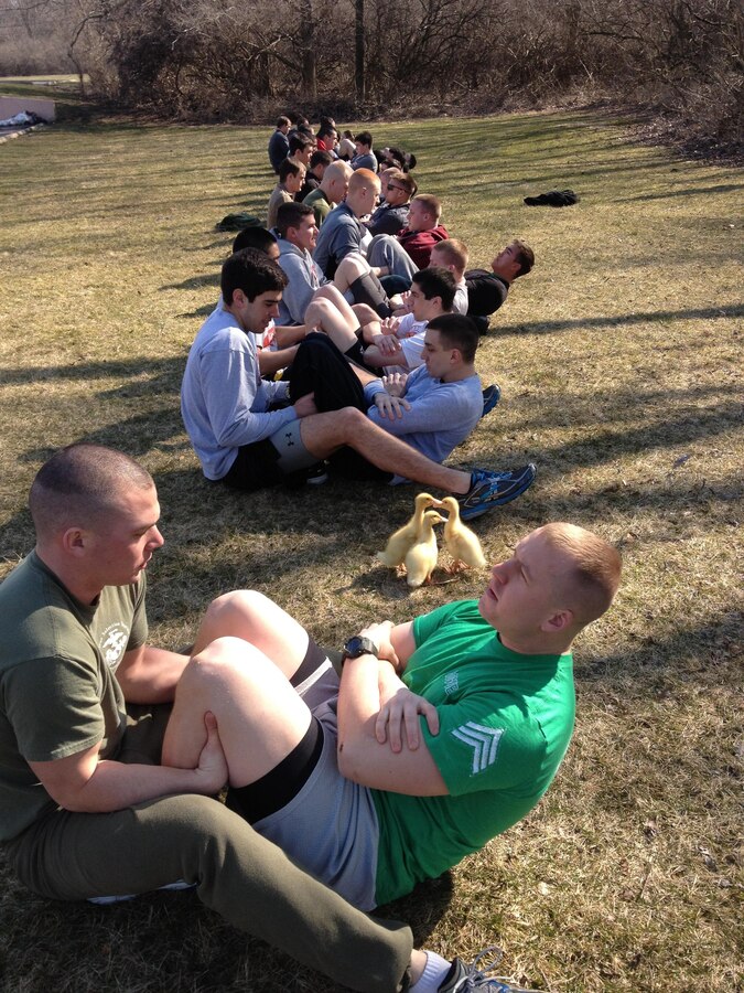 Marines and Marine officer candidates from Officer Selection Station Columbus perform crunches, March 30, during a pool Physical Fitness Test. The group had an unexpected Easter surprise from three goslings that came out of the woods and right into their PT session. The goslings were not scared of the group and followed them from pull-up bars to crunches and to the start line of the three mile run.