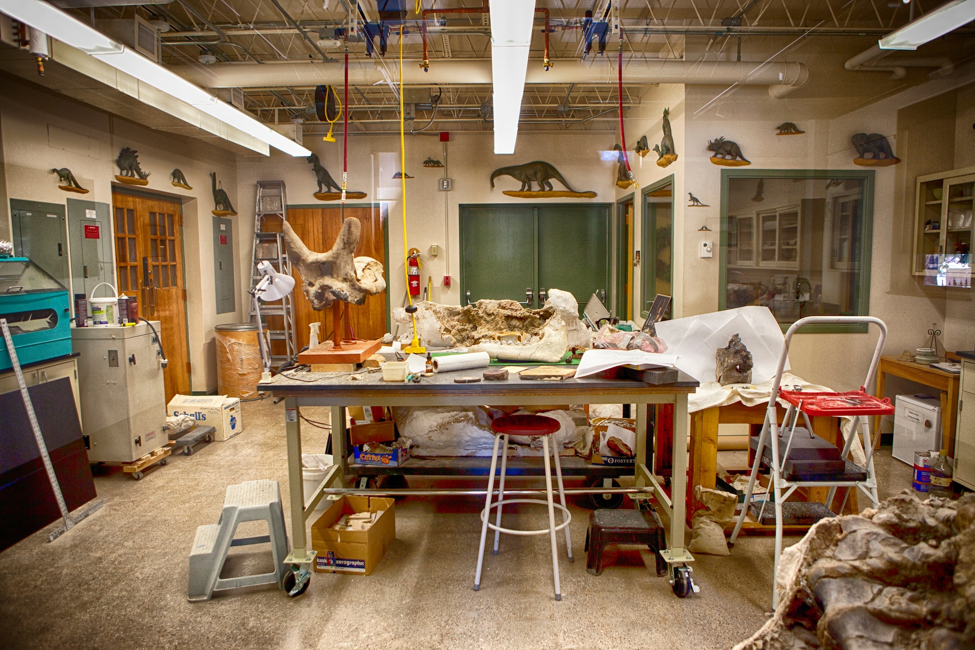 At the University of Wyoming Natural Geological Museum, dinosaur fossil research is also on display. (U.S. Air Force photo by Matt Bilden)