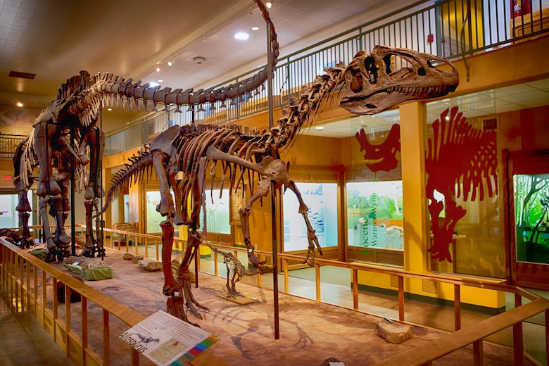 Get out of the House! University of Wyoming Geological Museum > F.E