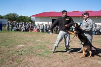 Senior Airman George Garcia and Staff Sgt. Edward Wallace, 902nd Security Forces Squadron Military Working Dog handlers, give a MWD demonstration for Operation FLAGS May 2 at Joint Base San Antonio-Randolph. (Air Force photo by Joshua Rodriguez/ Released)