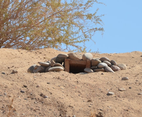 Photo of completed artificial wood and rock burrowing owl habitat.