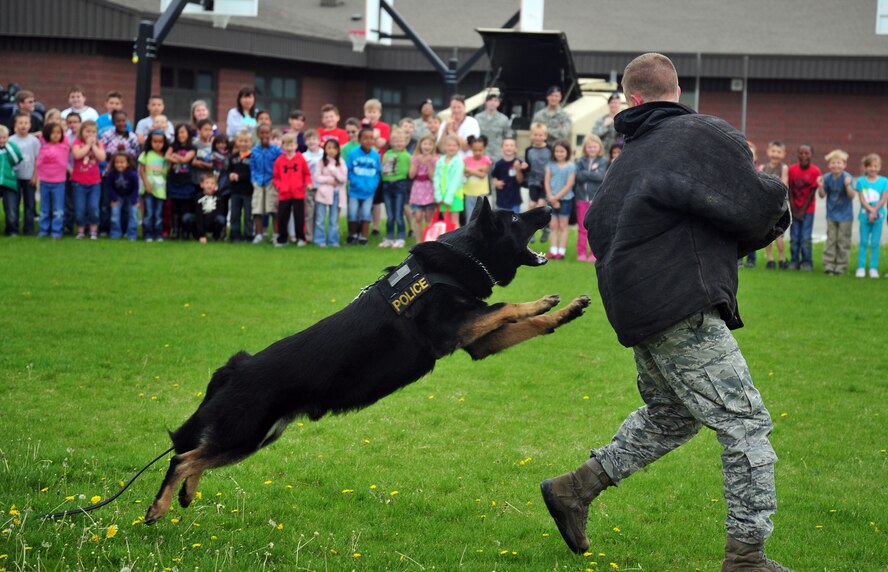 The 92nd Security Forces Squadron military working dog section gives a demonstration to children of Michael Anderson Elementary School during a Police Week event at Fairchild Air Force Base, Wash., May 13, 2013. The military working dogs at Fairchild go through a rigorous training program at Joint Base San Antonio/Lackland to locate explosive materials as well as narcotics. (U.S. Air Force photo by Senior Airman Taylor Curry/Released)