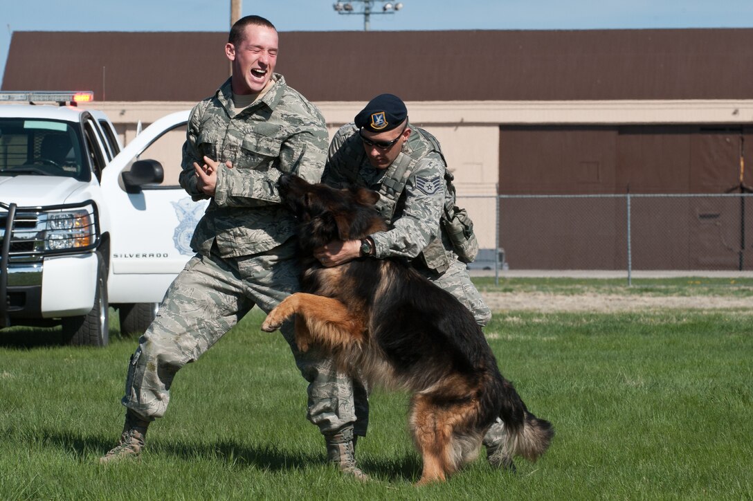 Staff Sgt. Mark Sidle (right), 28th Security Forces Squadron military working dog handler, calls off his dog, Arco, during an apprehension demonstration on a decoy, Senior Airman Jared Poe, 28th SFS military working dog handler, done as part of Spouse Appreciation Day at Ellsworth Air Force Base, S.D., May 10, 2013. The demonstration showcased the way that Ellsworth defenders use military working dogs to apprehend suspects and provide security for the base. (U.S. Air Force photo by Airman 1st Class Alystria Maurer/Released)