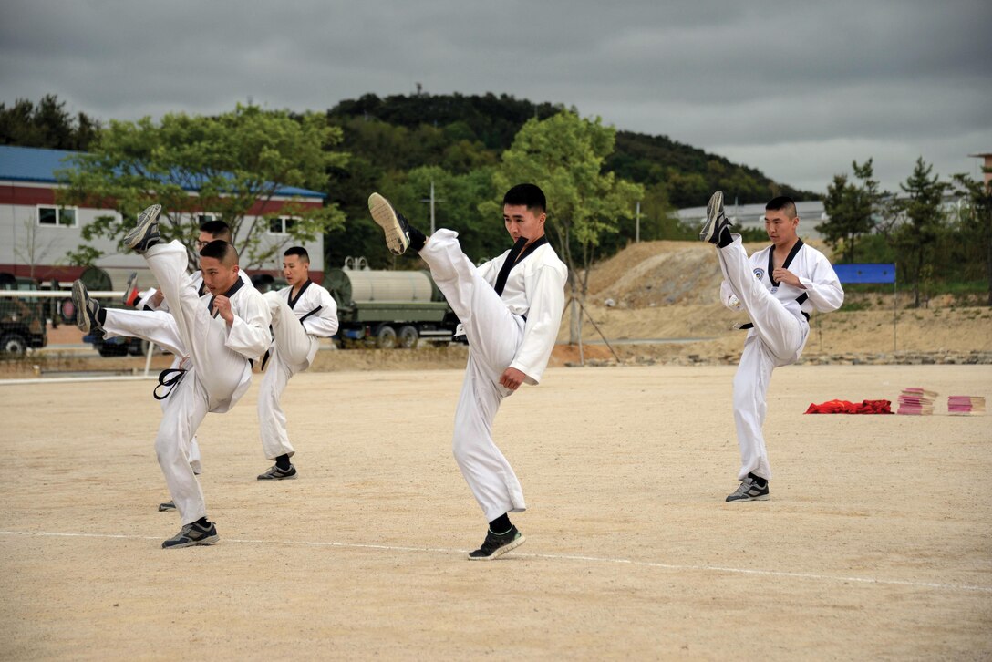Republic of Korea Marines demonstrate martial arts techniques for U.S. Marines May 1 at the ROK 1st Marine Division base near Pohang, Republic of Korea. The ROK Marines hosted the U.S. Marines for a day of sports, food and demonstrations of ROK Marine and Korean traditions following two days of landing support training. The ROK Marines are with Landing Support Company, 1st Support Battalion, 1st Marine Division. The U.S. Marines are with the III Marine Expeditionary Force Landing Force Support Party. Photo by Cpl. Mark W. Stroud