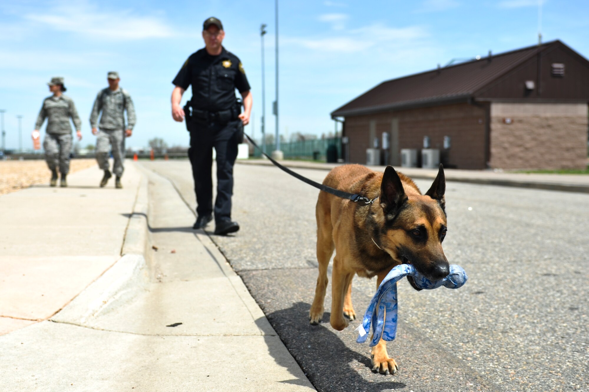 Deputy J. J. Smith, Jefferson County Sheriff’s Office K-9 handler, walks his K-9, Flash, after participating in a demonstration May 15, 2013, at the softball fields on Buckley Air Force Base, Colo. Flash was rewarded with his toy after finding a training device as part of a demonstration hosted by the 460th Security Forces Squadron. (U.S. Air Force photo by Airman 1st Class Riley Johnson/Released)     