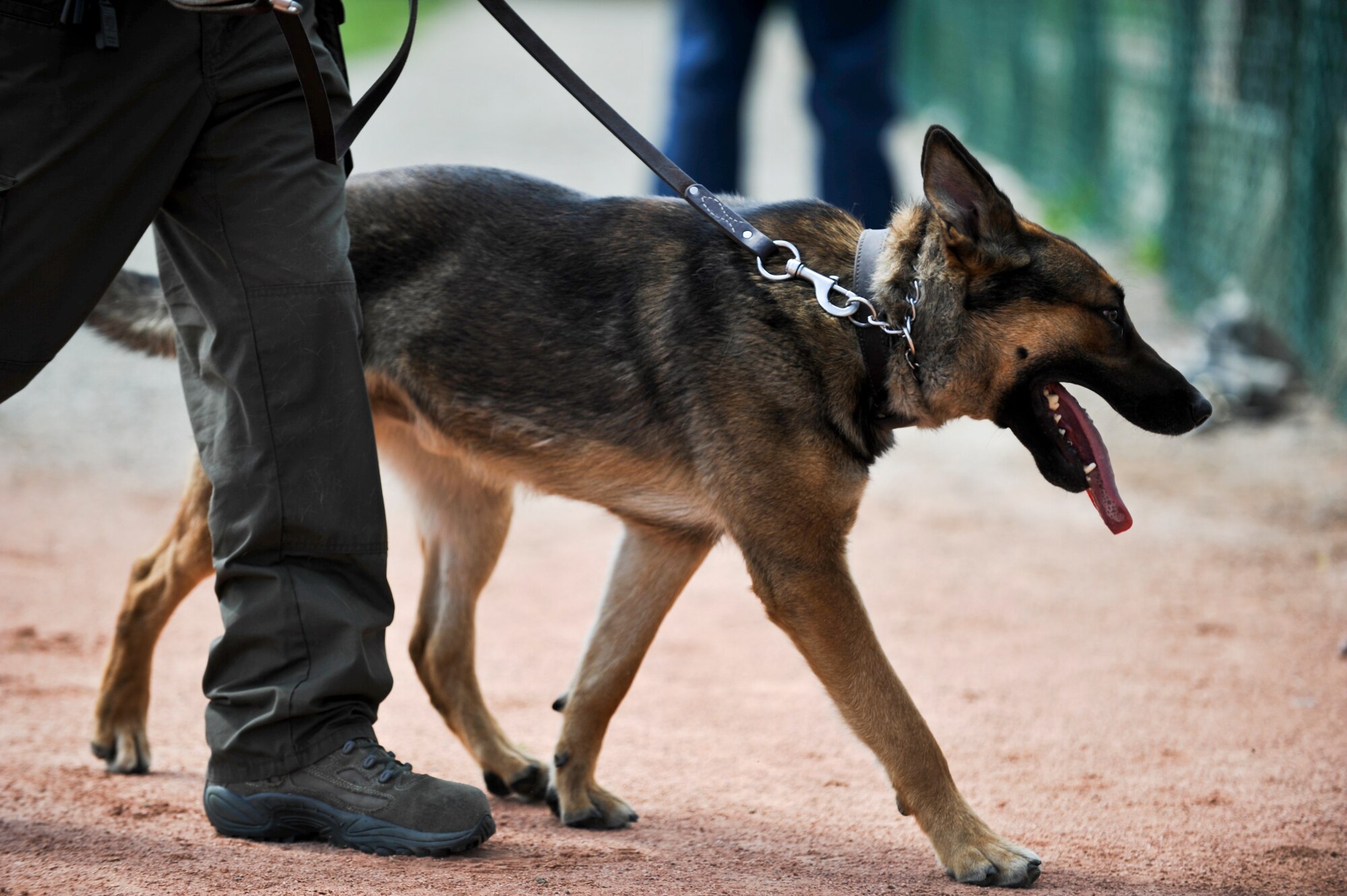 Ryker, Larimer County Sheriff’s Department K-9 and his handler, Deputy Aaron Hulme, walk off the field after participating in a demonstration May 15, 2013, at the softball fields on Buckley Air Force Base, Colo. Hulme and Ryker were one of several teams to participate in the demonstration hosted by the 460th Security Forces Squadron. (U.S. Air Force photo by Airman 1st Class Riley Johnson/Released)