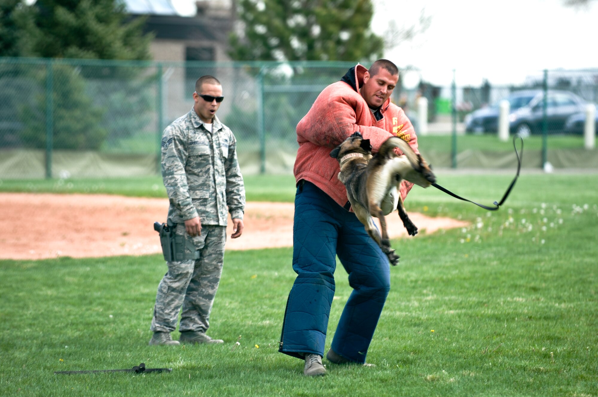 Ari, 460th Security Forces Squadron military working dog, bites Staff Sgt. Ryan Kelly, 460th SFS MW¬¬¬¬D trainer, during a demonstration May 15, 2013, at the softball fields on Buckley Air Force Base, Colo. Ari and his handler, Senior Airman Joshua Carabajal, participated in the K-9 demonstration hosted by the 460th SFS. Several local law enforcement K-9 teams also participated in the demonstration. (U.S. Air Force photo by Airman 1st Class Riley Johnson/Released)
