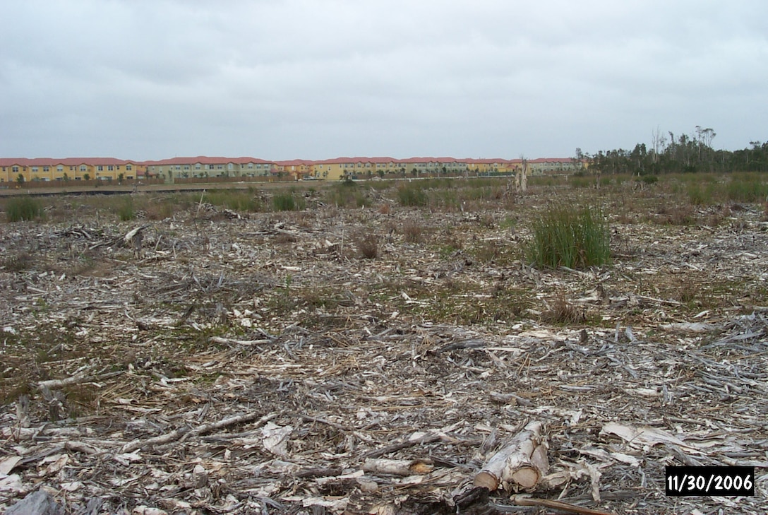 After the initial clearing, Melaleuca mulch, similar to what is shown in the photo, was left behind, which suppressed the regrowth of sawgrass and beakrush. Waiting for the decay of the mulch and subsequent regrowth would have delayed achievement of the success criteria by approximately 10 years, much longer than the permit allowed. The enforcement case compelled Century to go back to the site and remove the mulch and conduct supplemental plantings in the buffer areas in order to jumpstart the mitigation area so that it met its success criteria within five years.