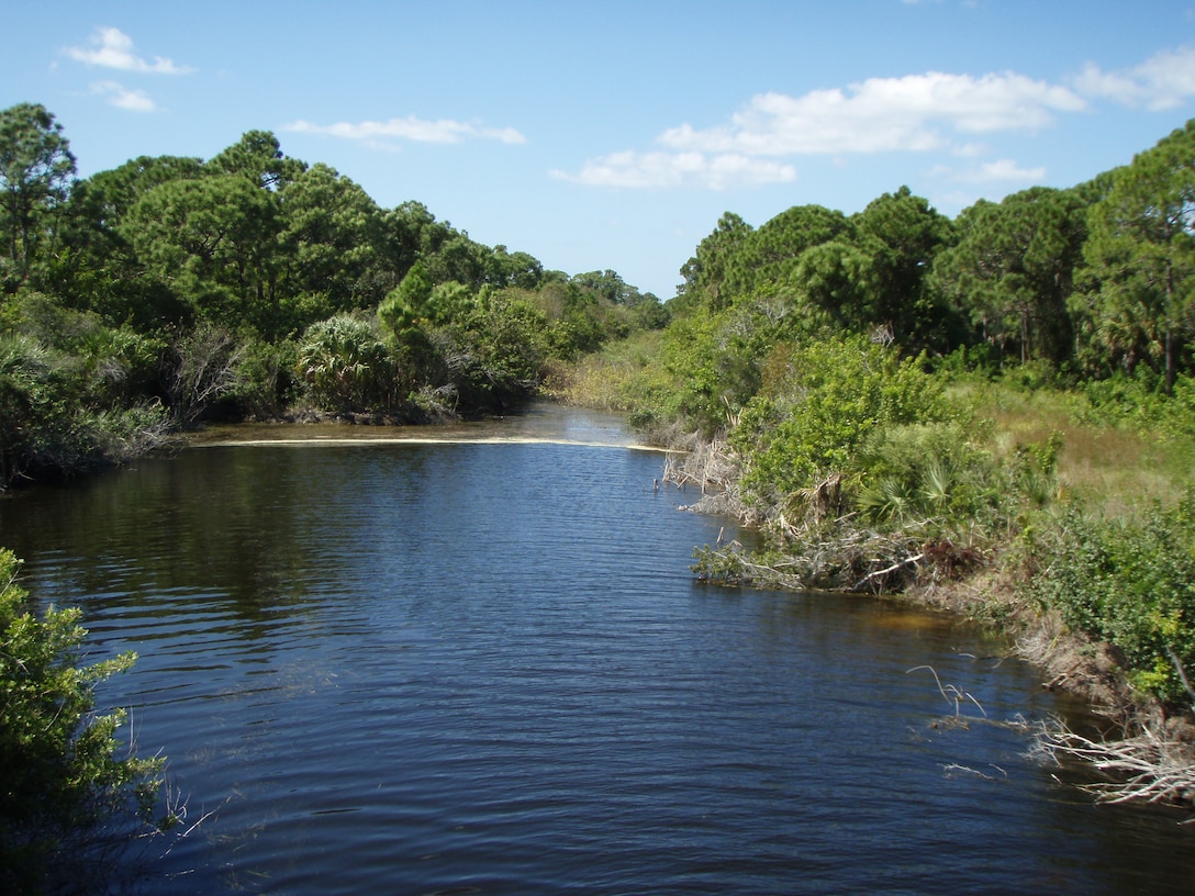 In this pre-construction picture of the filter marsh, note the extensive exotic/invasive vegetation coverage, including Brazilian pepper and water hyacinth.