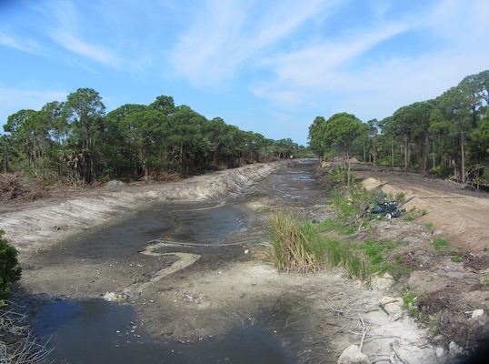A current view of the filter marsh, in which invasive vegetation has been removed. A new weir structure will be constructed, where flows will outfall into an existing slough system that discharges into the east branch of Coral Creek. Wood Storks and Roseate Spoonbills have already been observed feeding in the marsh as it was pumped down.