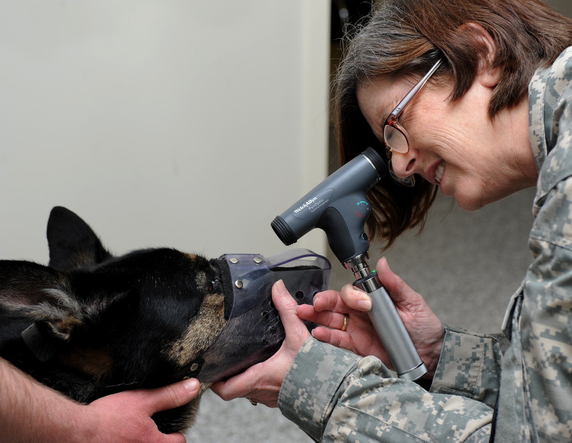 U.S. Army Maj. Gerri Fletcher, Public Health Command, Fort Eustis branch chief, performs a post-deployment physical on Bodza, a military working dog, at the Veterinary Treatment Facility on Langley Air Force Base, Va., May 10, 2013. The VTF staff performs physicals on MWDs when they return from deployments to ensure they are in the best condition to protect their military community. (U.S. Air Force photo by Senior Airman Teresa Aber/Released)