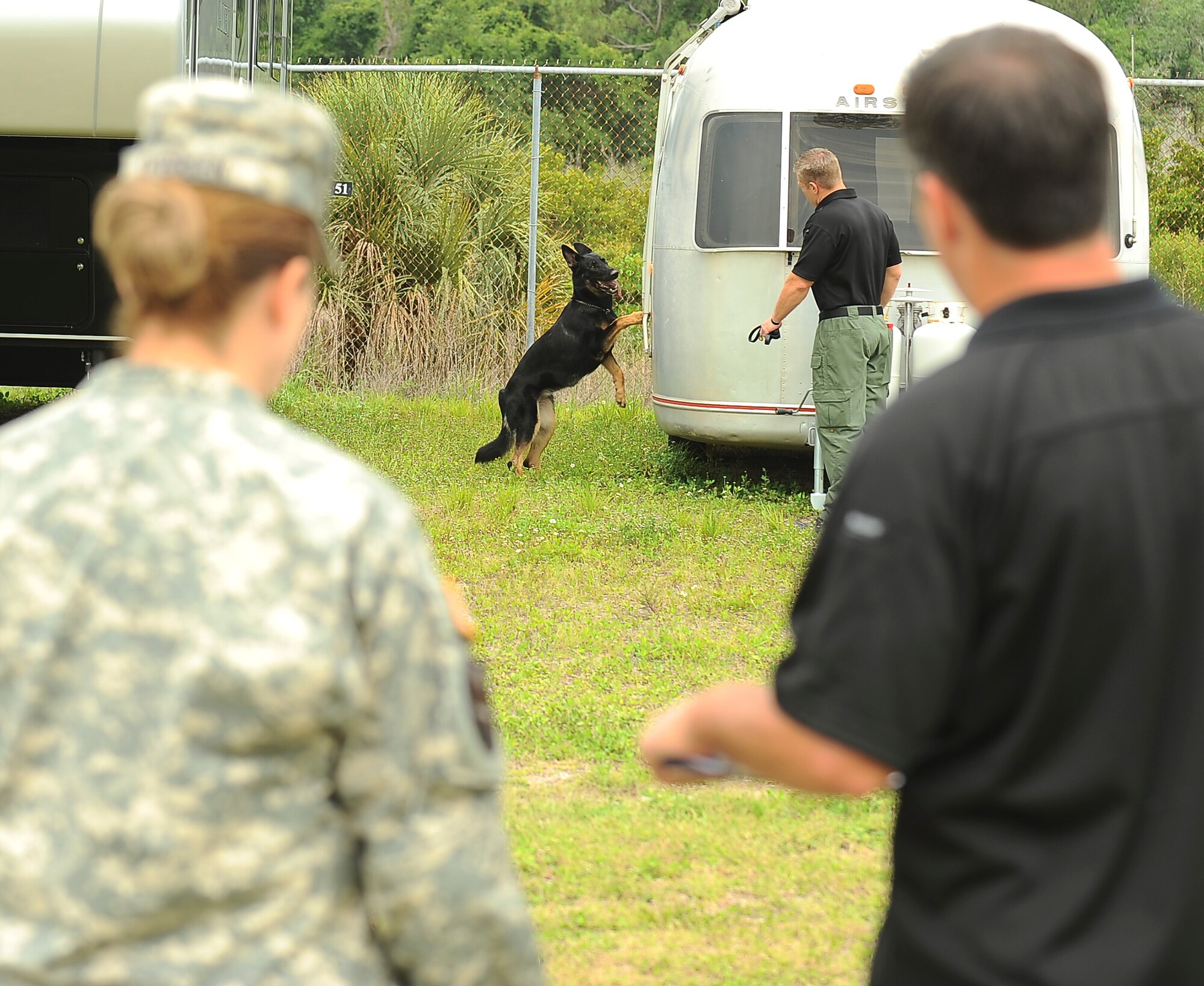 Judges on-look as Tim Bickerstaff and his dog, Bensha, members of the Hillsborough County Sherriff’s Department, compete in the detection portion of the 6th Security Forces Squadron’s first annual “Top Dog” handler competition on May 13, 2013 at MacDill Air Force Base, Fla.Thirteen organizations from around the state of Florida joined in on the competition, which was held in honor of National Police Officer Week. (U.S. Air Force photo by Staff Sgt. Brandon Shapiro/ Released)