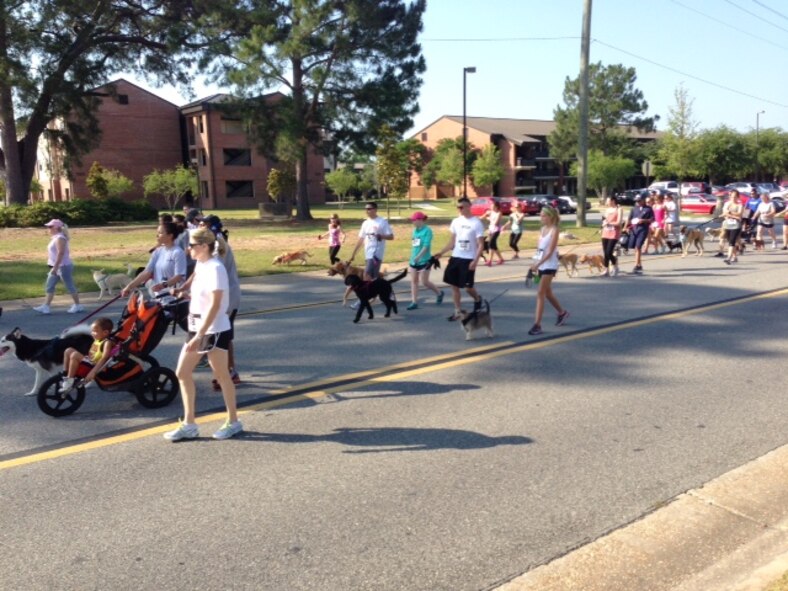 Members of Team Moody and the local community participate in the Humane Society benefit 5K Fun Run and Walk at Moody Air Force Base, Ga., May 18, 2013. The event was hosted by Lowndes County Leadership along with Moody, and the 5K managed to raise more than $5,000 toward low cost spaying and neutering for cats and dogs. (Courtesy photo) 