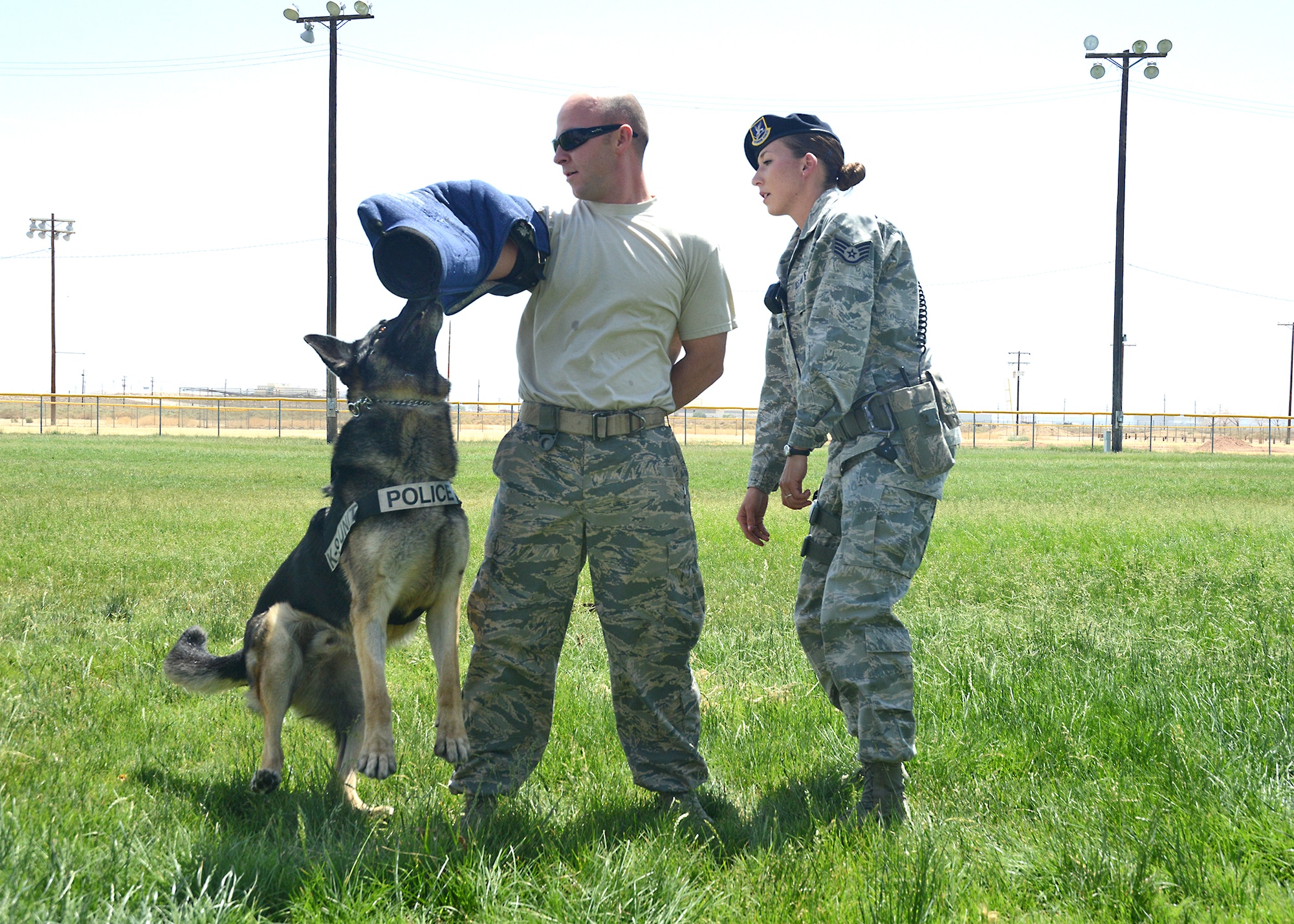 Staff Sgt. Brett Hurley (center), acts as a "suspect" while 412th Security Forces Squadron Working Dog Schmykel tries to detain him as Staff Sgt. Kathryn Jackson maintains control of the situation. Hurley and Jackson, both of the 412th SFS, were joined by Kern Country Sheriff's Department K-9 officers May 15 for a police and military working dog demonstration at Arnold Park. (U.S. Air Force photo by Kenji Thuloweit)