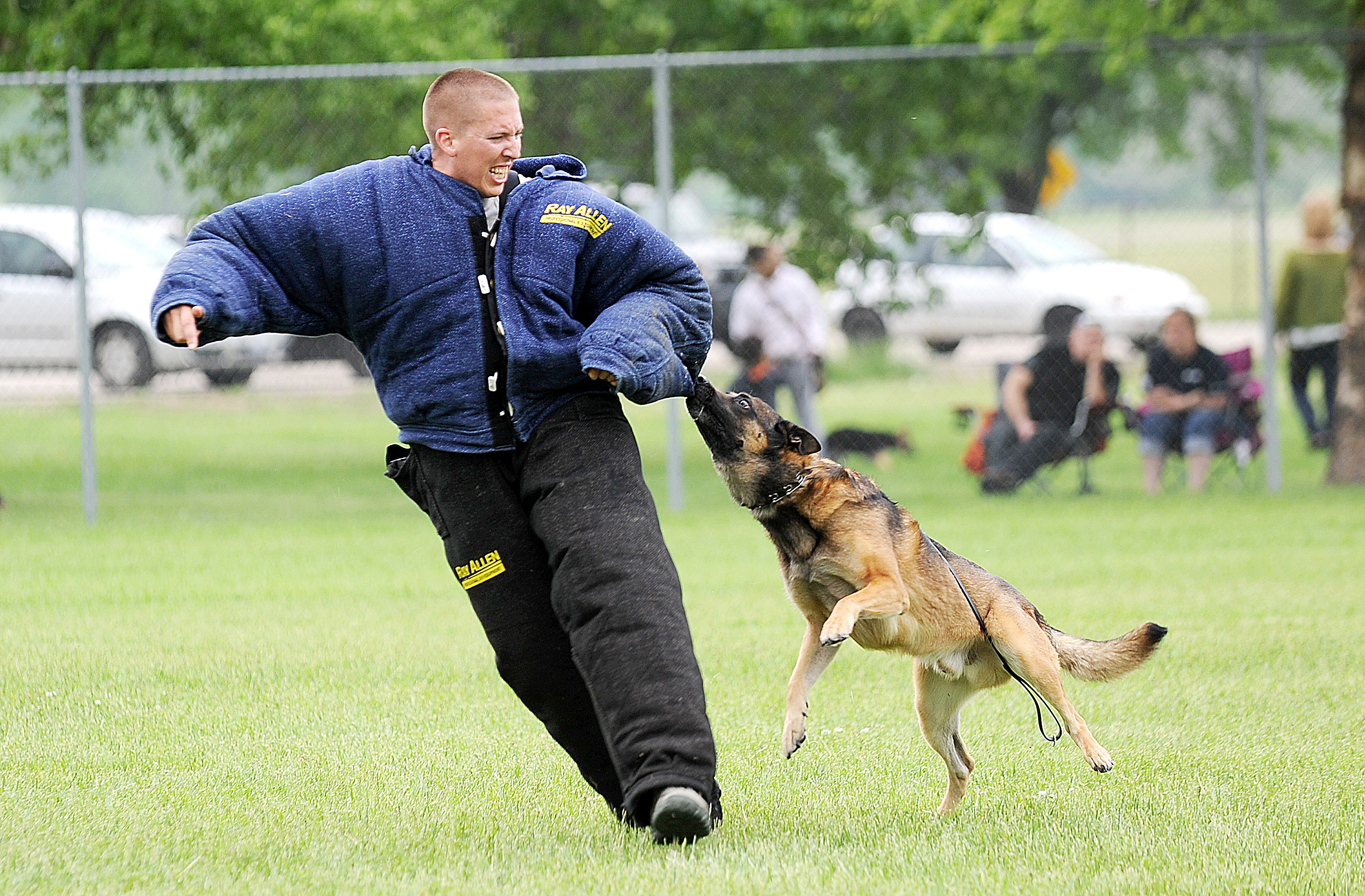 what qualifications do you need to be a dog handler