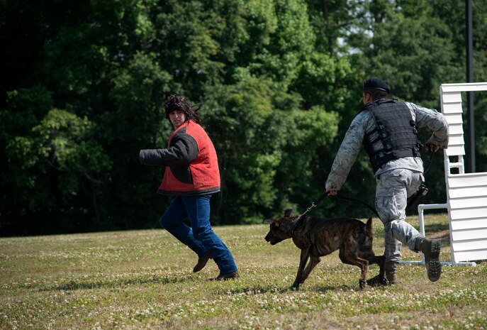 Senior Airman Luis Diaz-Garcia, 628th Security Forces Squadron K-9 handler, runs with his military working dog Hulk, after Staff Sgt. Jonathon Garrett, 628th SFS military working dog handler, during an apprehension demonstration May 16, 2013 at Joint Base Charleston - Air Base, S.C.  The 628th Security Forces Squadron hosted events including the "Guns and Hoses" fitness challenge, a shooting competition, chili cook-off and a retreat ceremony. National Police Week recognizes the services and sacrifices of U.S. law enforcement personnel. (U.S. Air Force photo/Staff Sgt. Rasheen Douglas)