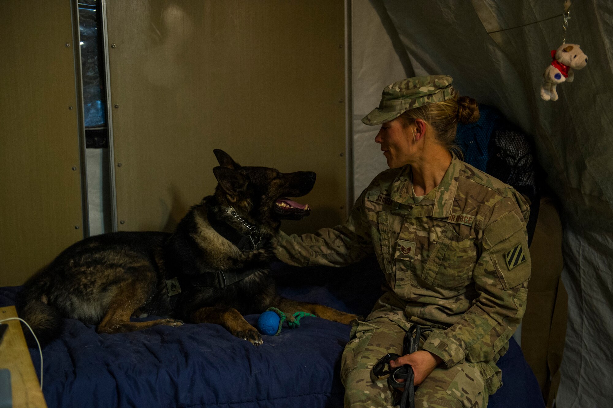 U.S. Air Force Staff Sgt. Jessie Johnson, 3rd Infantry Division military working dog handler, and her, Chrach, relax in their tent after finishing explosives detection training, at Forward Operation Base Pasab, Afghanistan, April 24, 2013. Chrach is trained to detect the odor of explosives. Johnson, a native of Reading, Pa., has been a MWD handler for four years and is deployed from Luke Air Force Base, Ariz. (U.S. Air Force photo/Staff Sgt. Marleah Miller)