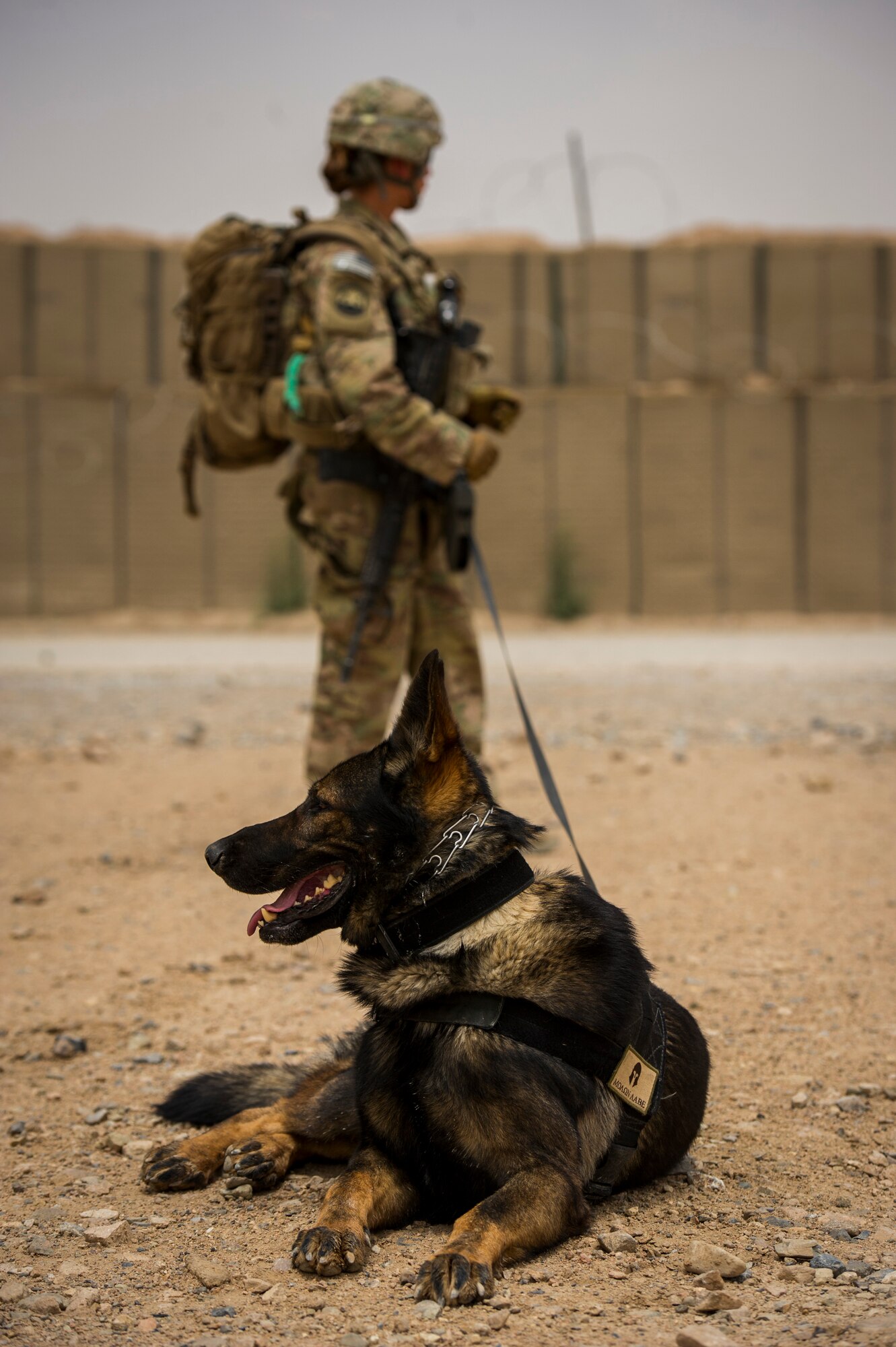 U.S. Air Force Staff Sgt. Jessie Johnson, 3rd Infantry Division military working dog handler, and her dog, Chrach, rest after successfully completing explosives detection training, at Forward Operation Base Pasab, Afghanistan, April 24, 2013. Chrach is trained to detect the odor of explosives. Johnson, a native of Reading, Pa., has been a MWD handler for four years and is deployed from Luke Air Force Base, Ariz. (U.S. Air Force photo/Staff Sgt. Marleah Miller)