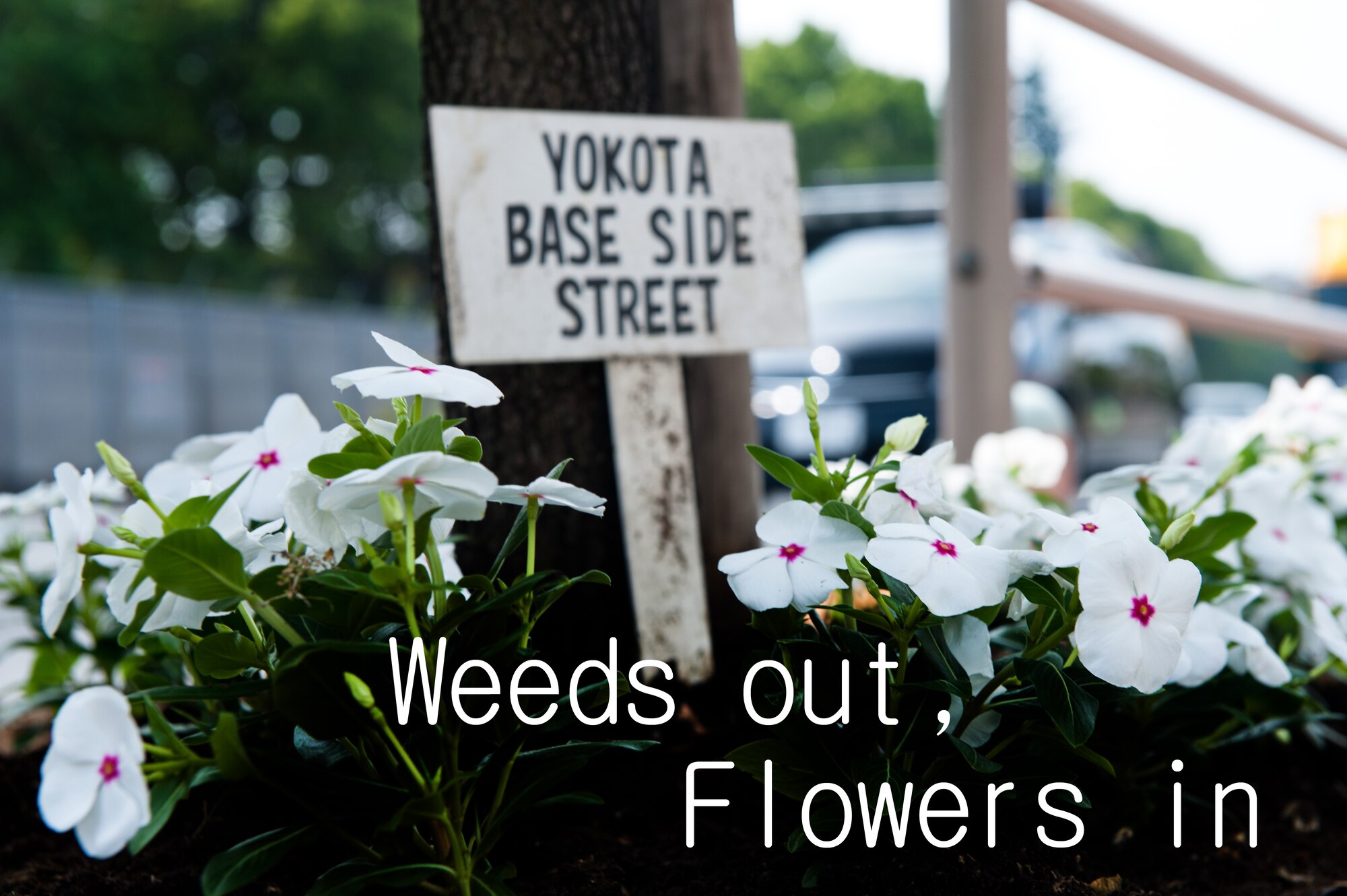 FUSSA, Japan – A freshly planted flower bed sits ready to be admired at Fussa, Japan, May 22, 2013. More than 50 volunteers, both from Yokota Air Base and Fussa, spent two hours pulling weeds and adding flowers to the sidewalk alongside Route 16 which borders both communities. (U.S. Air Force photo by Senior Airman Cody H. Ramirez/Released)