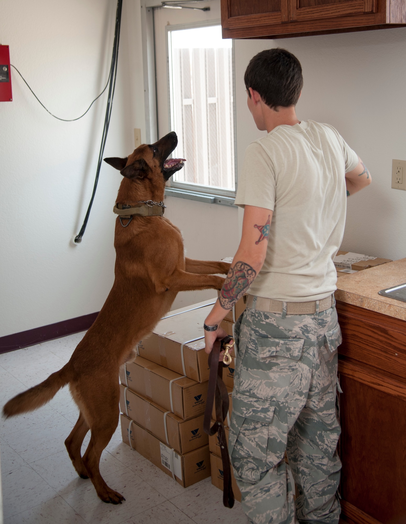 Staff Sgt. Britney Simpson, 47th Security Forces Squadron military working dog handler, instructs her partner, Eewok, to search cabinets for explosives during a training exercise at Laughlin Air Force Base, Texas, May 22, 2013. Military working dogs are trained with scent kits to ensure they can complete their mission, whether they are at home station or deployed. (U.S. Air Force photo/Airman 1st Class John D. Partlow)