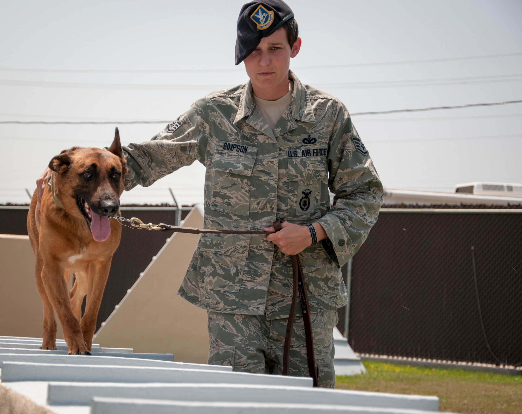 Staff Sgt. Britney Simpson, 47th Security Forces Squadron military working dog handler, guides her partner, Eewok, over an obstacle at Laughlin Air Force Base, Texas, April 16, 2013. Laughlin’s dog handlers run their four-legged companions through an obstacle course to keep them fit and well-trained. (U.S. Air Force photo/Senior Airman Nathan Maysonet)