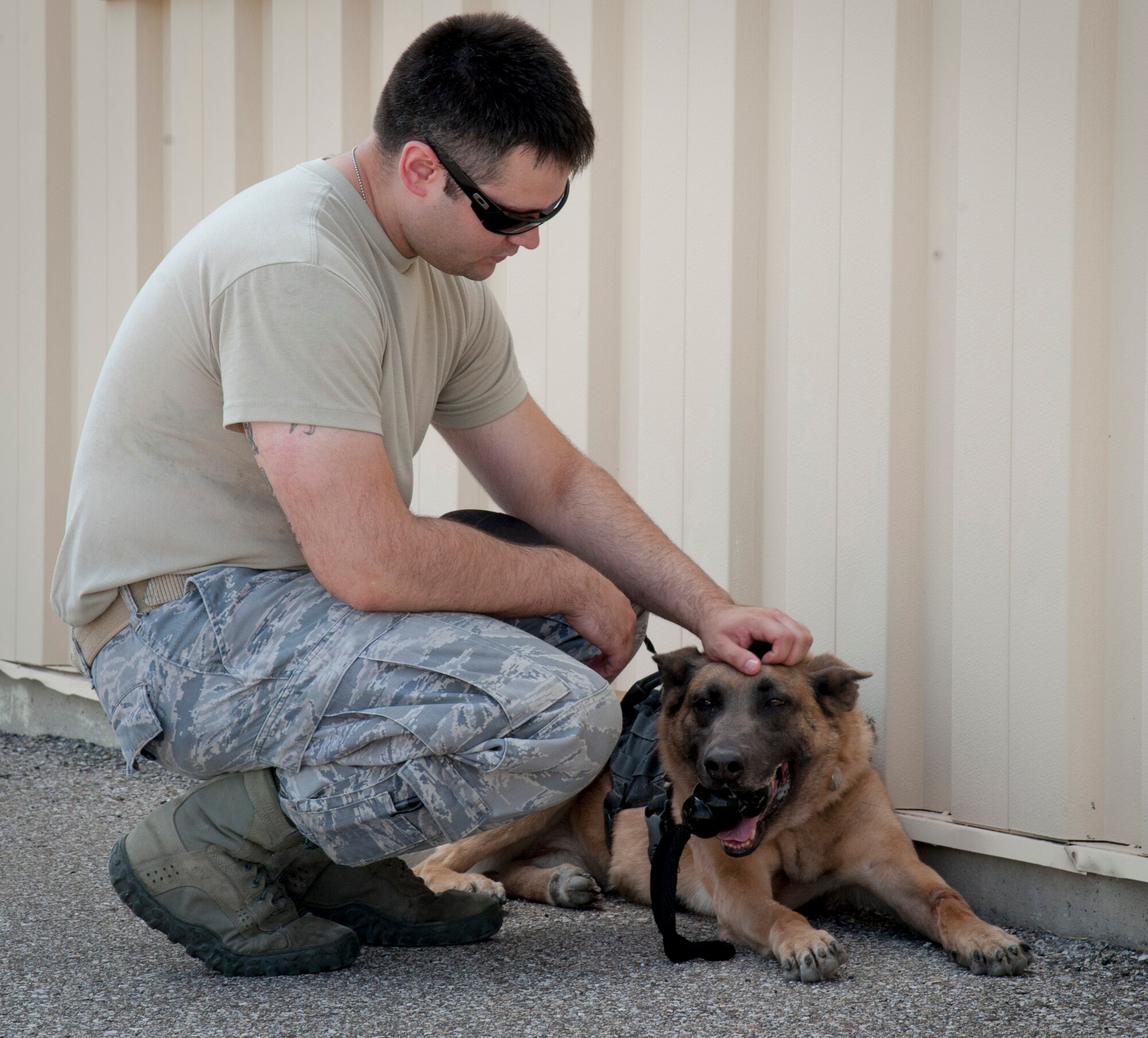 Staff Sgt. Sean Foster, 47th Security Forces Squadron military working dog handler, pets his new partner, Lee, after a training exercise at Laughlin Air Force Base, Texas, May 22, 2013. Foster, who is deploying soon, recently acquired Lee and both were being evaluated to ensure they could effectively work together. (U.S. Air Force photo/Senior Airman Nathan Maysonet)