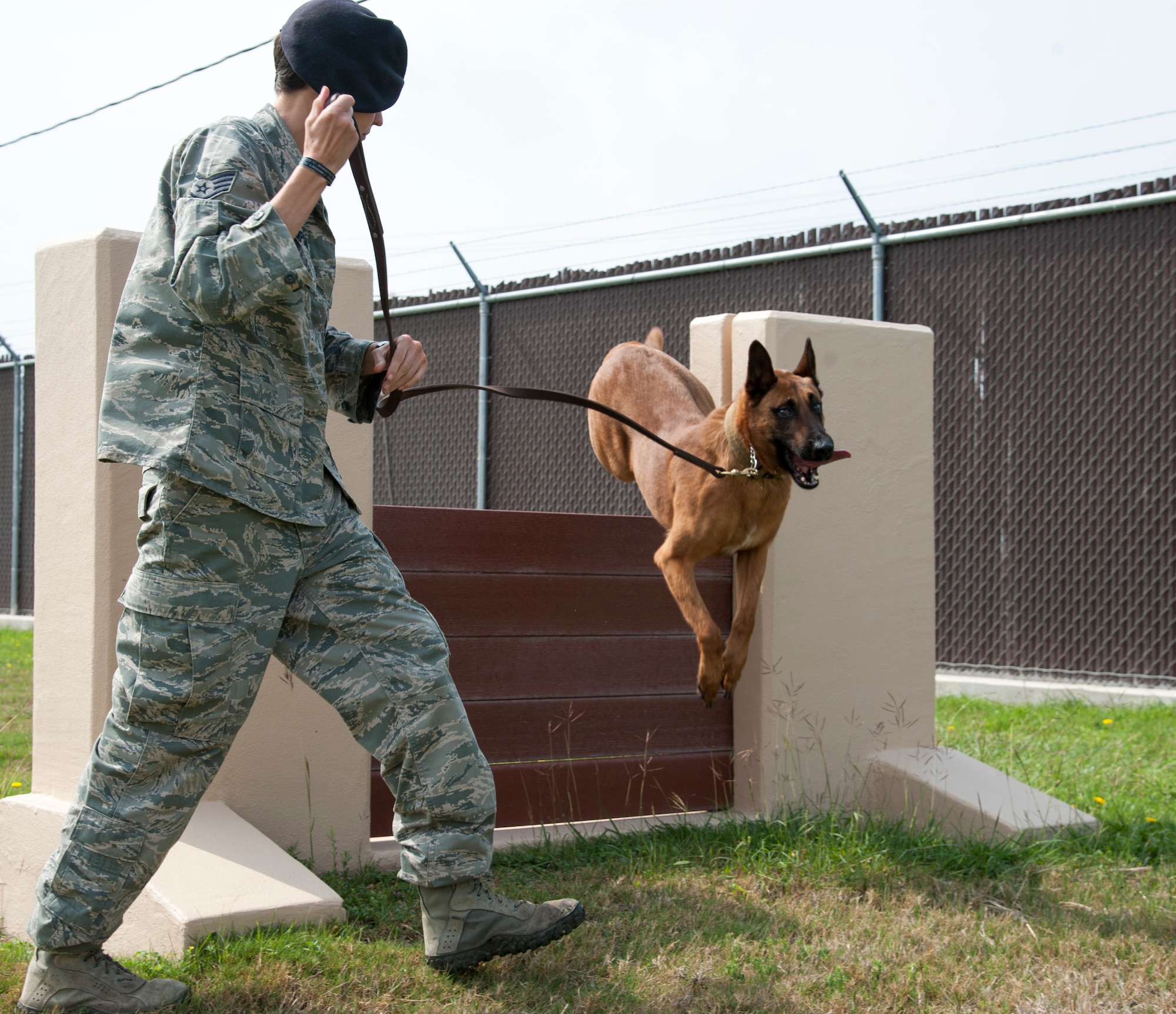 Staff Sgt. Britney Simpson, 47th Security Forces Squadron military working dog handler, runs her partner, Eewok, through an obstacle at Laughlin Air Force Base, Texas, April 16, 2013. Laughlin’s dog handlers run their four-legged companions through obstacle courses to keep them fit and well-trained. (U.S. Air Force photo/Airman 1st Class John D. Partlow)