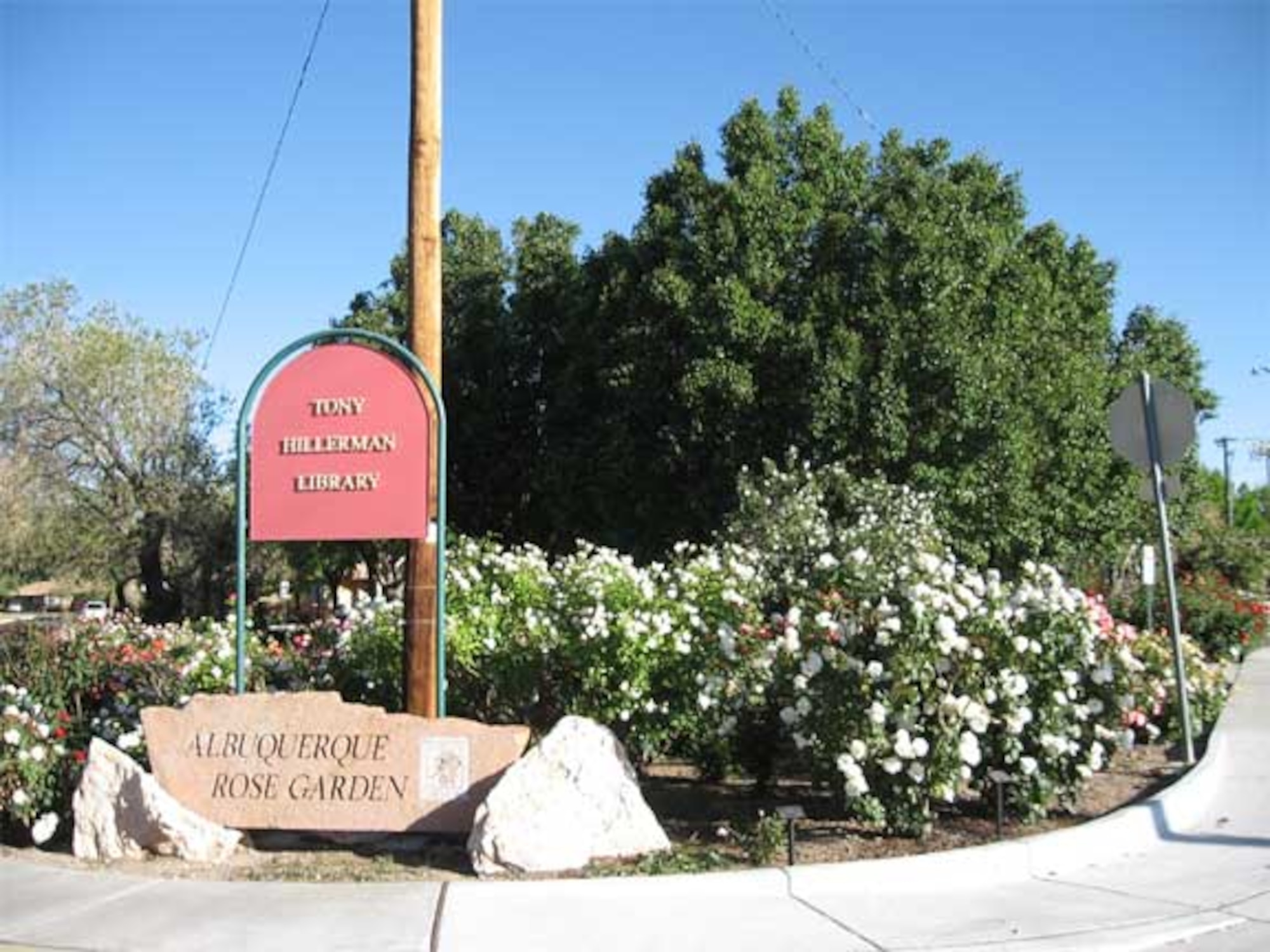 The Tony Hillerman Branch is one of three public library branches in close proximity to the base. With the base library still closed, these branches are a good alternative to find summer reading programs and other activities for children and youth. (Courtesy photo)