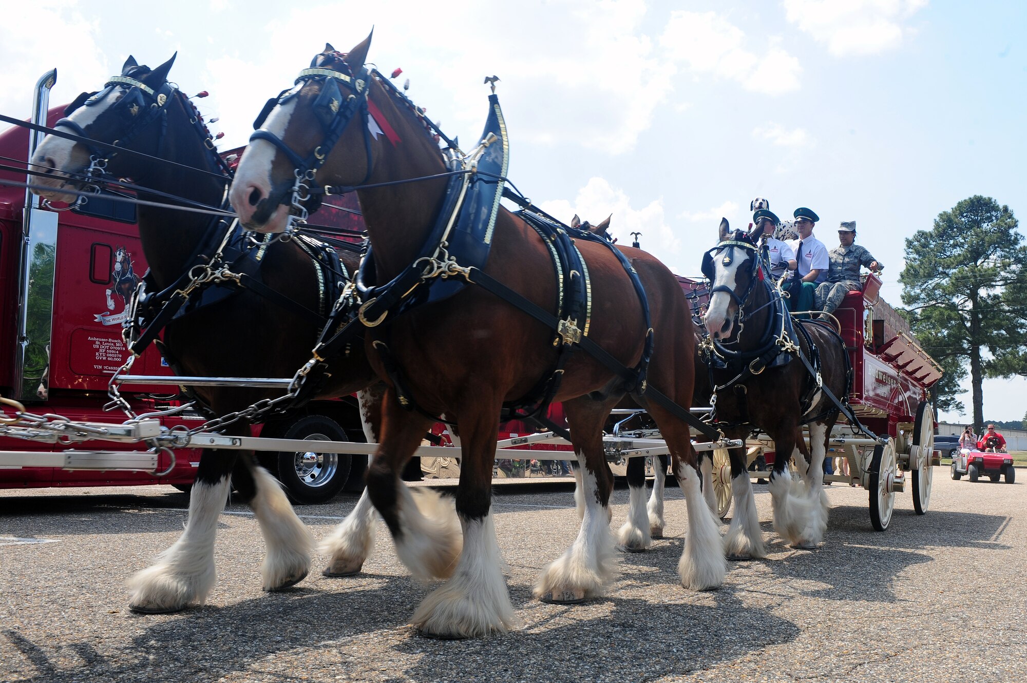 A Clydesdale horse-drawn carriage begins a parade lap during the 4th Fighter Wing’s inaugural Comprehensive Airmen Fitness (CAF) day at Seymour Johnson Air Force Base, N.C., May 17, 2013. The horses were part of the wing’s CAF picnic which also featured live music. (U.S. Air Force photo by Airman 1st Class John Nieves Camacho/Released)