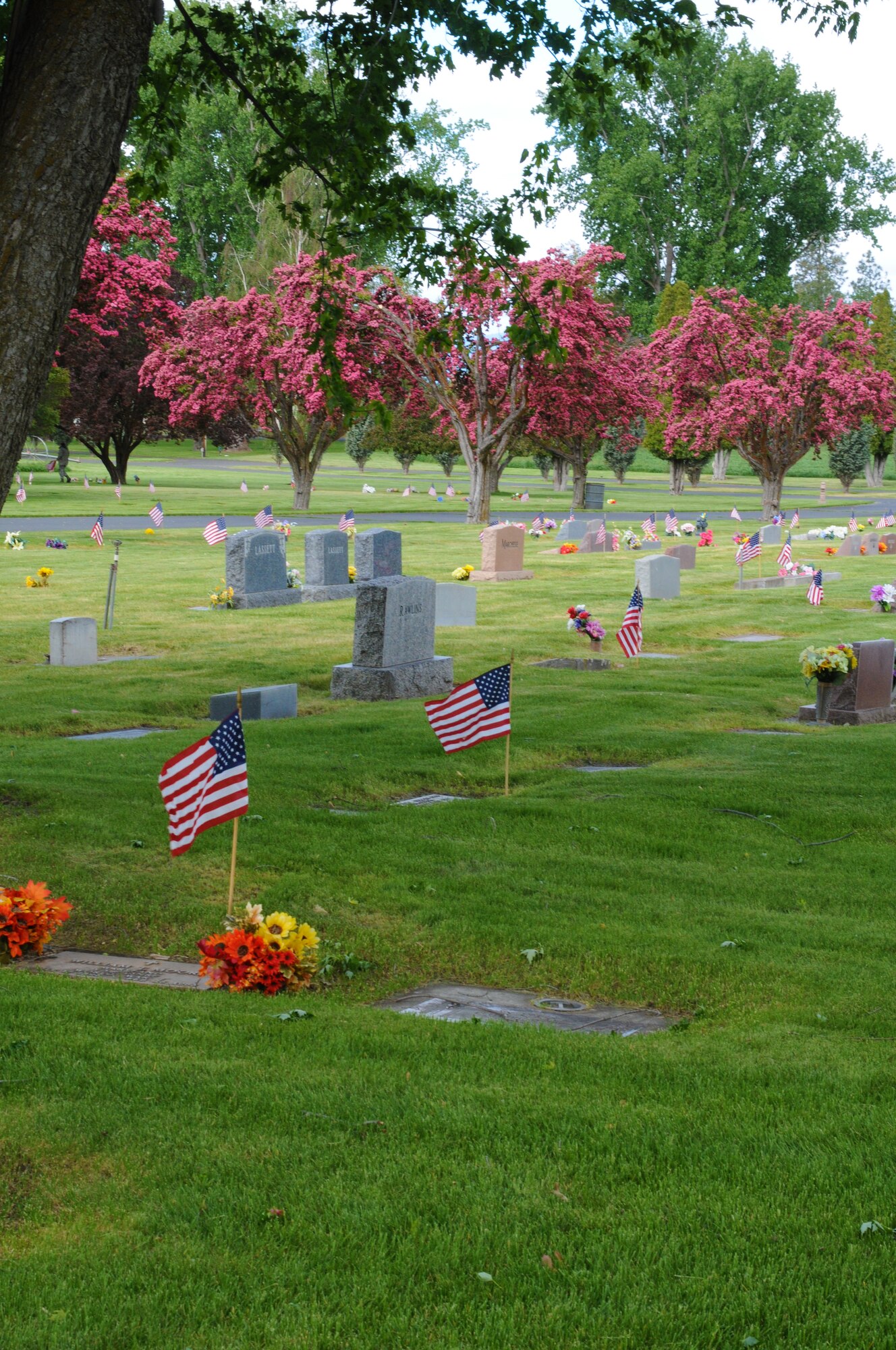 U.S. flags decorate the graves of local veterans at Mount Calvary Cemetery in Klamath Falls, Ore. May 23, 2013.  Airman from the 173rd Fighter Wing spent their morning placing flags in honor of Memorial Day.  (U.S. Air National Guard photo by Master Sgt. Jennifer Shirar) RELEASED    