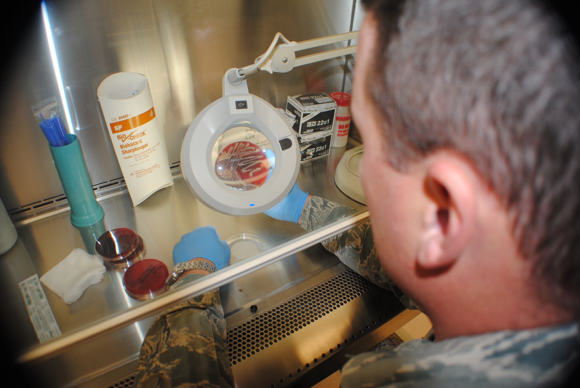 Staff Sgt. Thomas C. Sullivan Jr., 319th Medical Support Squadron laboratory technician, checks the growth progress of a bacteria cultures using a magnifying lamp inside a bio-safety examining cabinet inside the medical laboratory on May 22, 2013, at Grand Forks Air Force Base, N.D. Medical lab technicians grow various cultures of bacteria to test the effectiveness of chemical dyes, which are then used to identify various types of illnesses in laboratory samples. (U.S. Air Force photo/Staff Sgt. Luis Loza Gutierrez)
