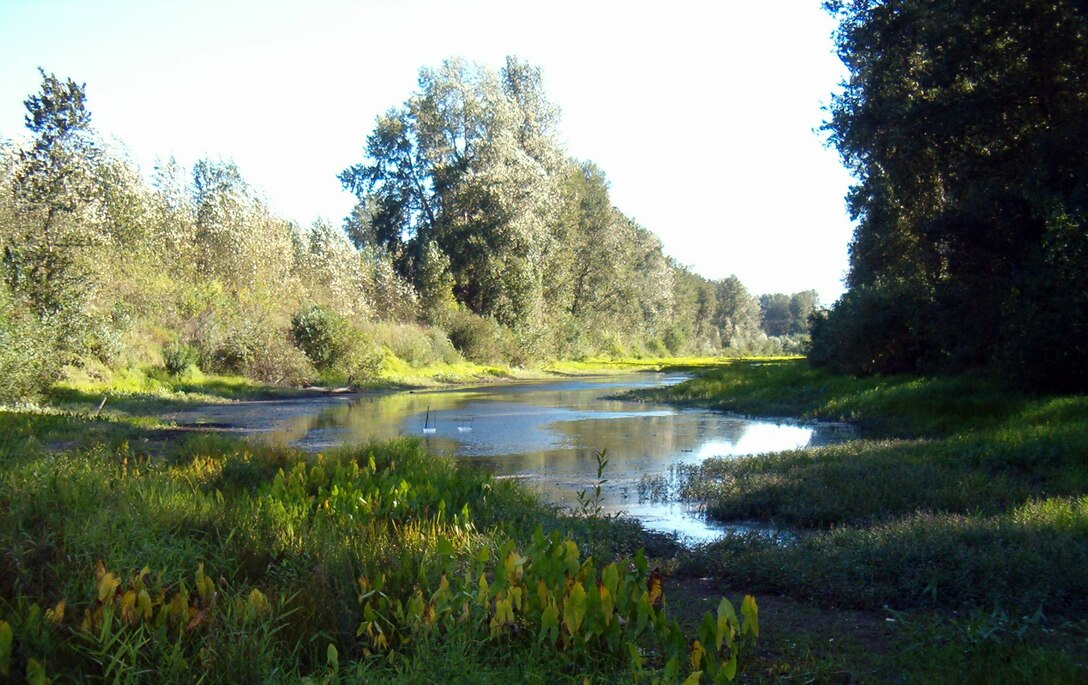 The Sandy River Dam was constructed in the 1930s. The Corps will remove the 8-foot dam in July 2013.