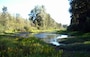 Sandy River Dam removal