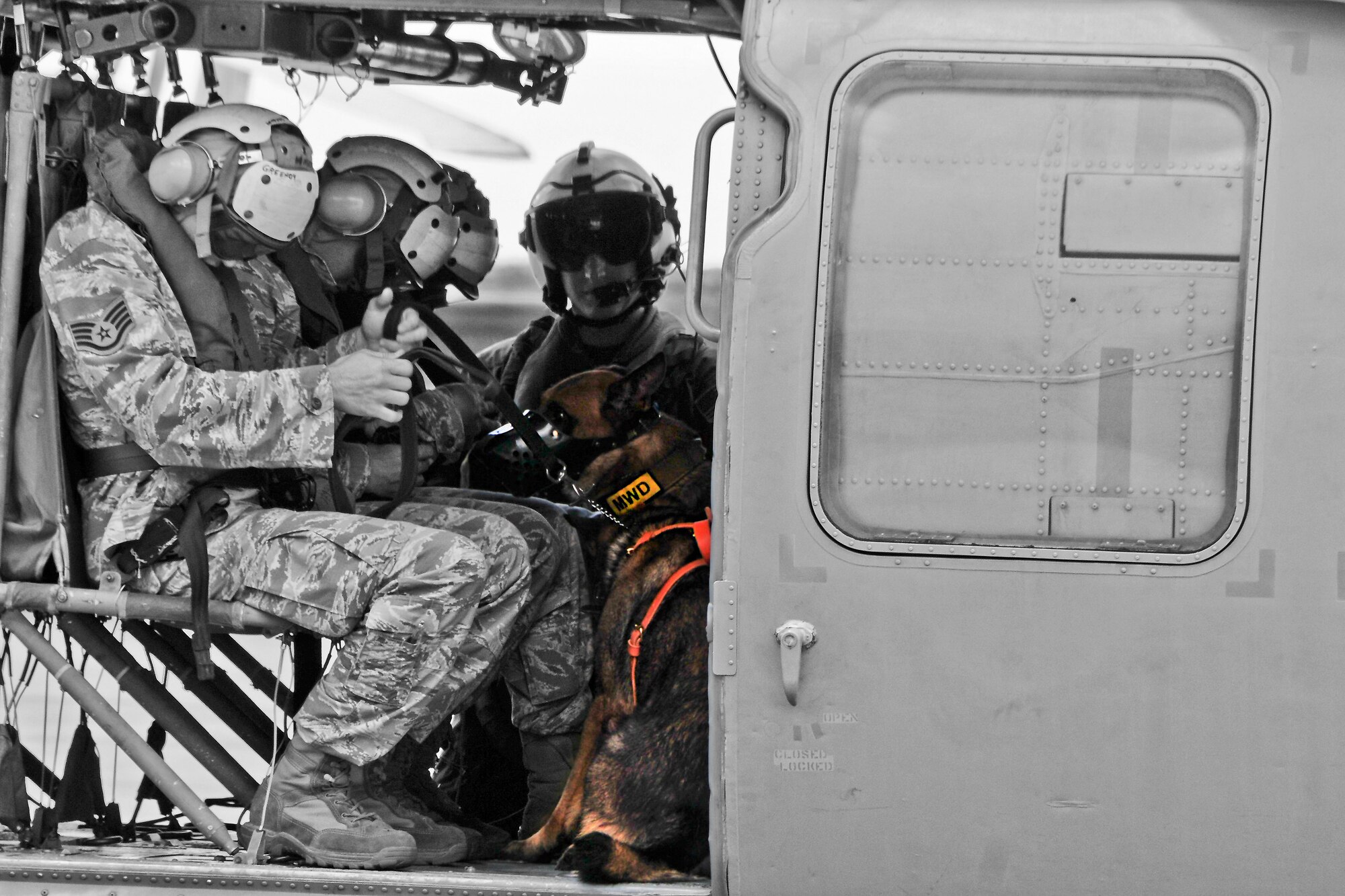 36th Security Forces Squadron military working dog handlers assist Viktor, 36th SFS MWD, on to an MH-60S Seahawk helicopter May 23, 2013, on Andersen Air Force Base, Guam. During helicopter familiarization training, MWD teams practice tactical deployment, air infiltration and exfiltration in order for MWDs to get used to going in and out of a moving helicopter. (U.S. Air Force photo illustration by Airman 1st Class Marianique Santos/Released)