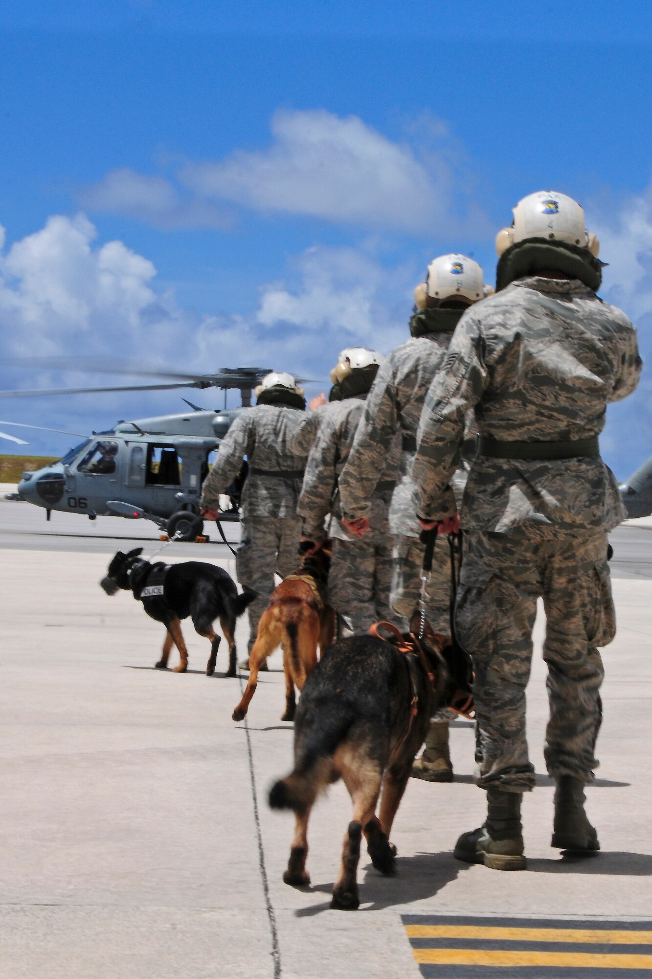 36th Security Force Squadron Military Working Dog Section Airmen line up on the Andersen Air Force Base, Guam, flightline May 23, 2013, to board an MH-60S Seahawk helicopter on Andersen Air Force Base, Guam. During helicopter familiarization training, MWD teams practice tactical deployment, air infiltration and exfiltration in order for MWDs to get used to going in and out of a moving helicopter. (U.S. Air Force photo by Airman 1st Class Marianique Santos/Released)