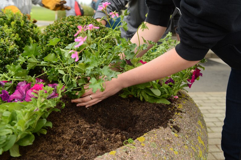 SPANGDAHLEM AIR BASE, Germany -- Michelle Morrison, a junior at Bitburg High School, helps plant flowers in base planters May 18, 2013. The Officer and Civilian Spouses Club and the Spangdahlem Spouses and Enlisted Members Club provided the funding for the flowers. Students from Bitburg High School volunteered to aid in the planting of the flowers around the base. (U.S. Air Force photo by Airman 1st Class Kyle/Gese)