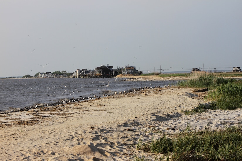 Delaware Bay Coastline, DE & NJ, Reeds Beach and Pierces Point, NJ