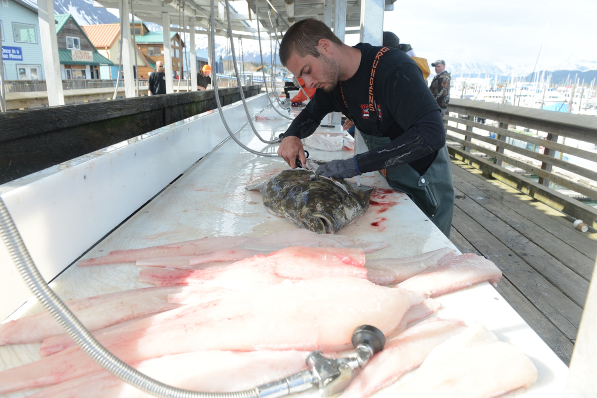 JOINT BASE ELMENDORF-RICHARDSON, Alaska -- The Armed Services YMCA hosts it's seventh annual Combat Fishing Tournament in Seward, Alaska May 24. Active-duty Air Force and Army service members participated in the tournament and caught fish such as halibut and red snappers, which brought them all together to enjoy a day of fishing. A total of 250 members participated. (U.S. Air Force photo/Airman Ty-Rico Lea)