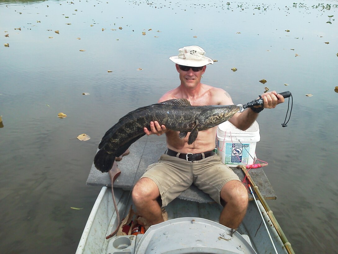 This three-foot, 13-pound snakehead strikes a pose with Sgt. Maj. Robert Breeden, the Marine Corps Air Facility Quantico sergeant major, after Breeden caught it with a bow in Chopawamsic Creek last April. There is no shortage of the fish in Quantico’s waters, providing ample prey for the base’s first snakehead fishing tournament June 7 and 8. 
